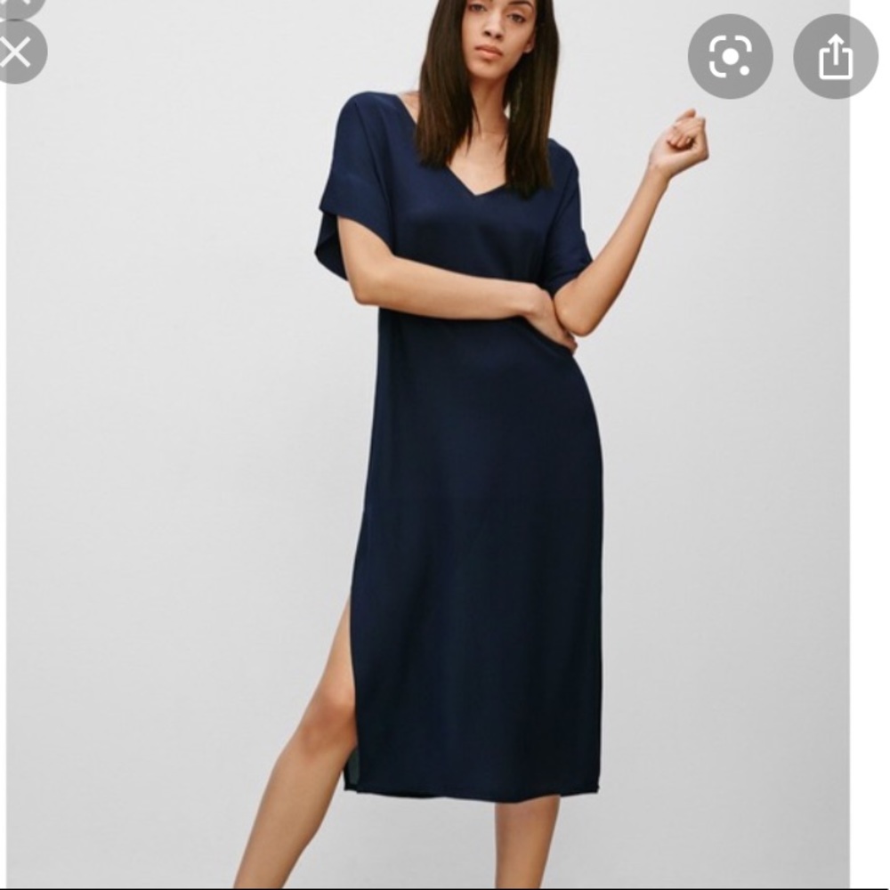 Aritzia Babaton Jessie Dress
